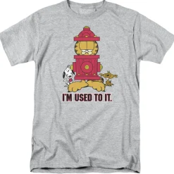 Garfield - I'm Used to It