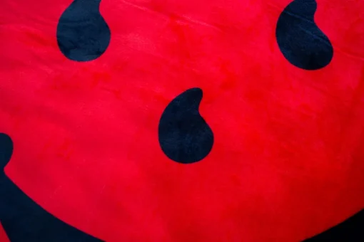 Kool-Aid Man Soft Fleece Throw Blanket | 45 x 60 Inches
