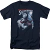Superman - Honor and Protect