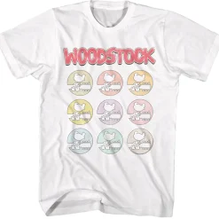 Woodstock - Multi-Colored Icons