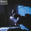 Birdy: Music From The Film (Vinyl) - Peter Gabriel