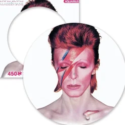 David Bowie Aladdine Sane 450 Piece Record Disc Jigsaw Puzzle