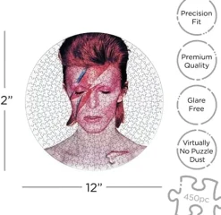 David Bowie Aladdine Sane 450 Piece Record Disc Jigsaw Puzzle