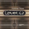 Forever Now [180-Gram Black Vinyl] (Vinyl) - Level 42