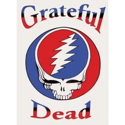 Grateful Dead Steal Your Face Logo White 60"x90" Tapestry