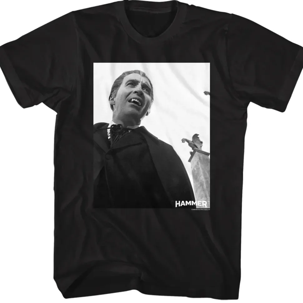 Hammer Horror - Dracula Snapshot