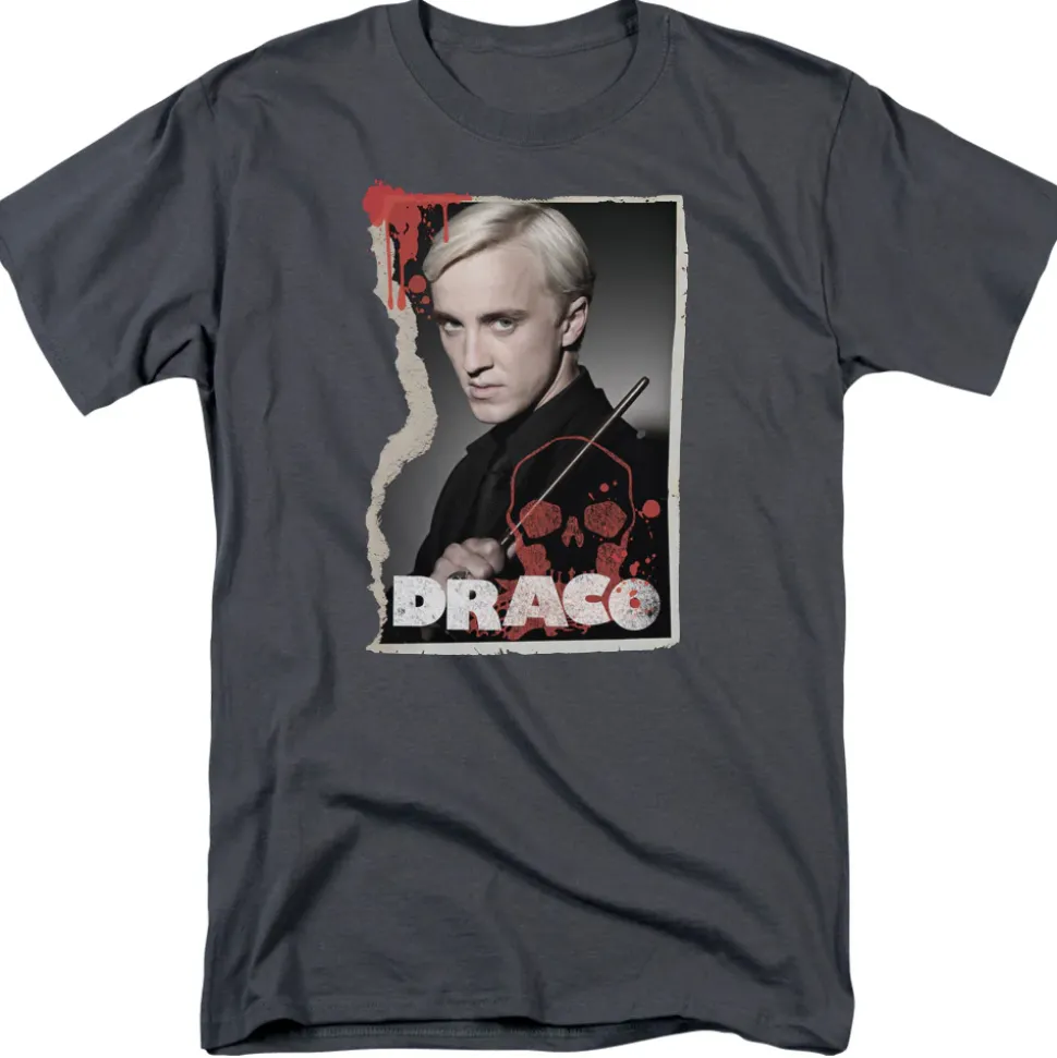 Harry Potter - Draco Frame