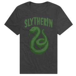 Harry Potter - The Slytherin
