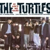 It Ain't Me Babe (Vinyl) - The Turtles