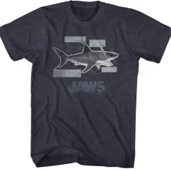 Jaws - Jaws Anatomy