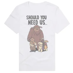 Labyrinth - Should You Need Us