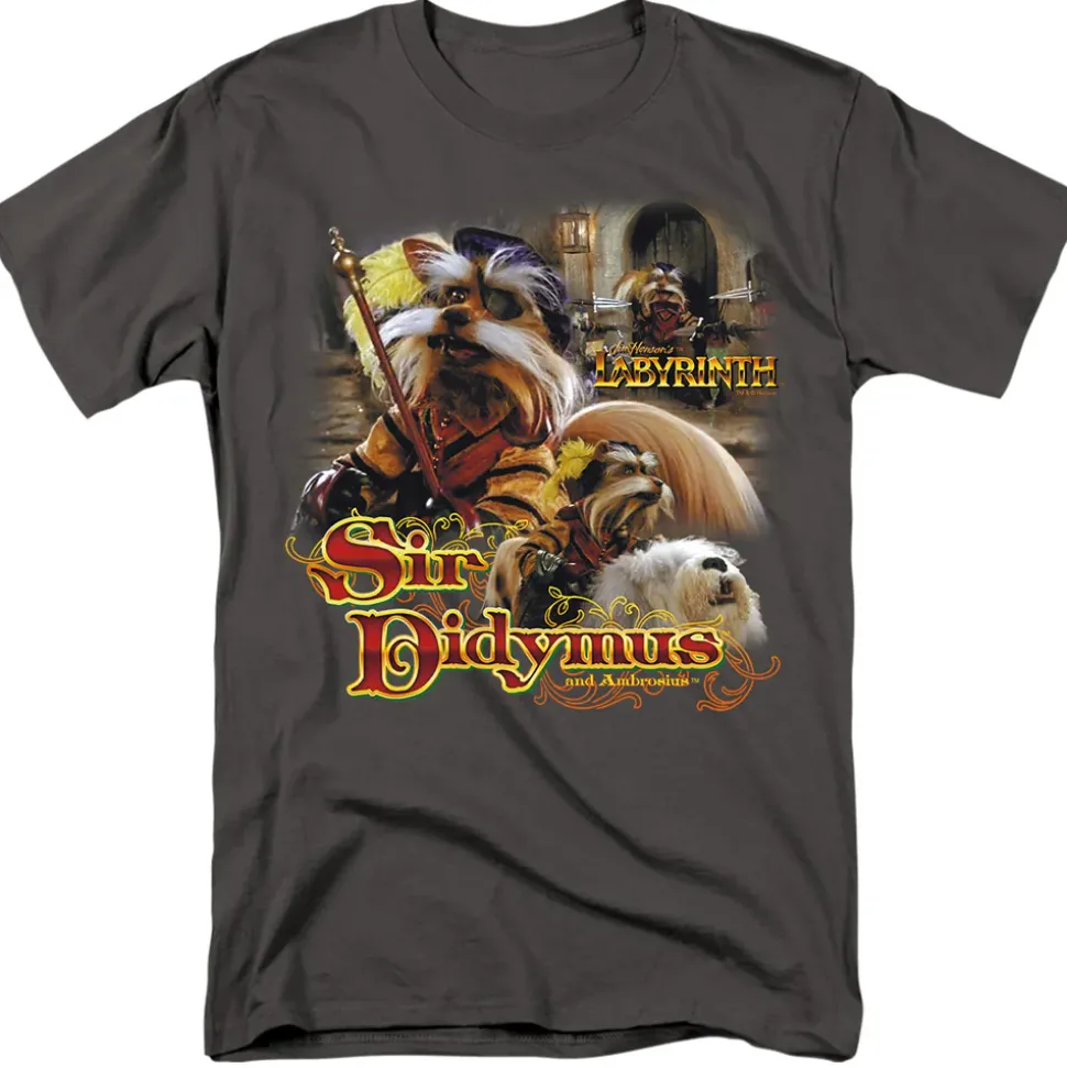 Labyrinth - Sir Didymus