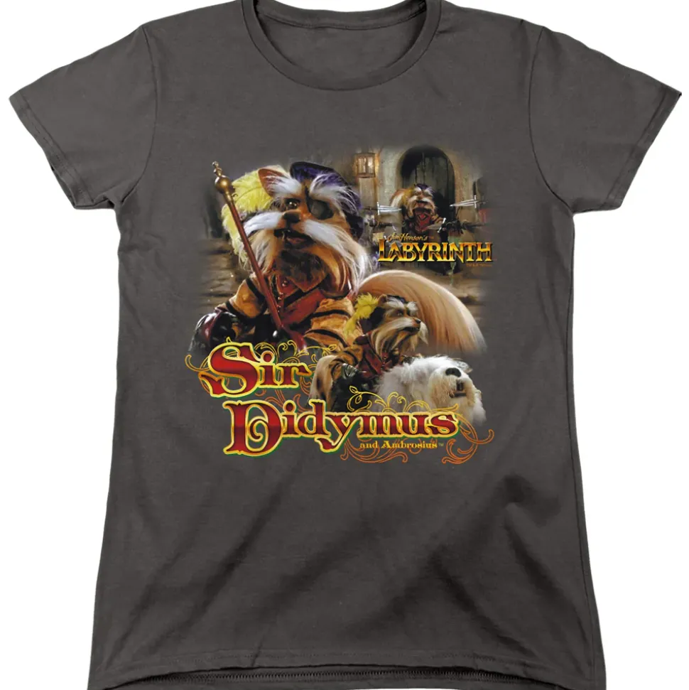 Labyrinth - Sir Didymus