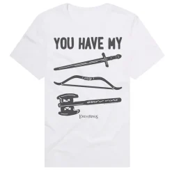 Lord Of The Rings - The Fellowship