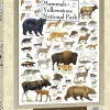 Mammals of Yellowstone National Park 1000 Piece Linen Jigsaw Puzzle