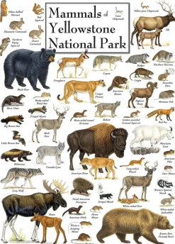 Mammals of Yellowstone National Park 1000 Piece Linen Jigsaw Puzzle