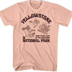 National Parks - Rare Plants at Yellowstone