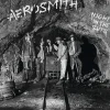 Night In The Ruts (Vinyl) - Aerosmith