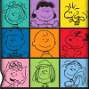 Peanuts Multicolor Character Grid Fleece Throw Blanket | 45 x 60 Inches