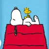 Peanuts Snoopy And Woodstock Fleece Throw Blanket | 45 x 60 Inches