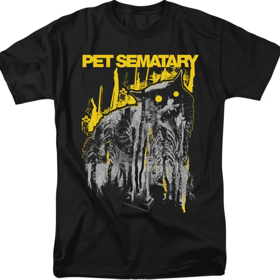 Pet Sematary - Decay
