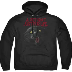 Pet Sematary - I Survived