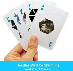 Pink Floyd Playing Cards