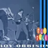 Rocks (CD) - Roy Orbison