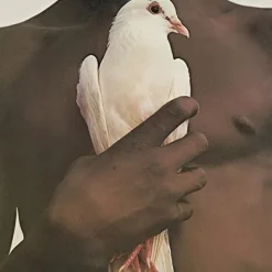 SANTANA Greatest Hits (1974) (Vinyl) - The Isley Brothers & Santana