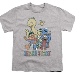 Sesame Street - Colorful Group