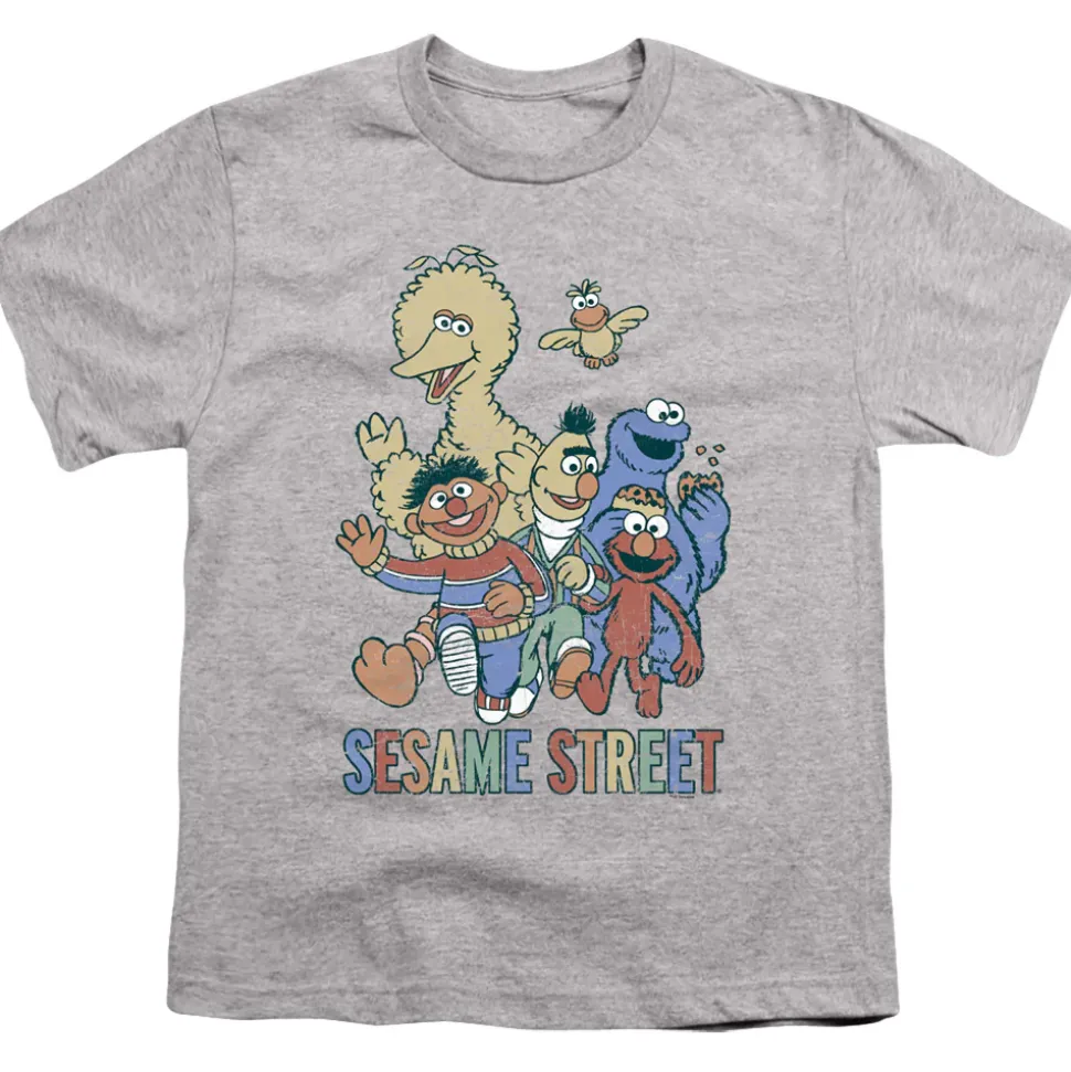 Sesame Street - Colorful Group