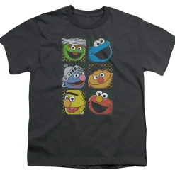 Sesame Street - Group Squares