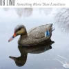 Something Worse Than Loneliness (CD) - Bob Lind