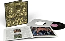 Stand Up (Steven Wilson Remix) (Vinyl) - Jethro Tull