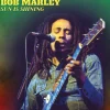 Sun Is Shining - Red Marble (Vinyl) - Bob Marley