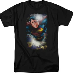 Superman - In the Sky