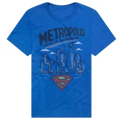Superman - The Metropolis