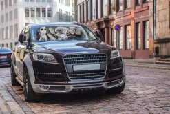 Universal Monsters Sunshade for Car Windshield | 64 x 32 Inches