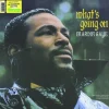 What's Going on (Vinyl) - Marvin Gaye