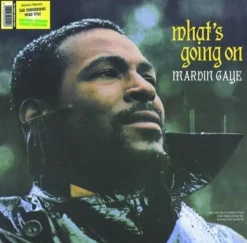 What's Going on (Vinyl) - Marvin Gaye