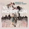 What's It Gonna Take? (Vinyl) - Van Morrison