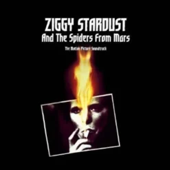 Ziggy Stardust And The Spiders From Mars (Vinyl) - David Bowie